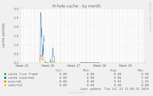 Pi-hole cache