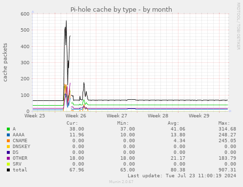 Pi-hole cache by type